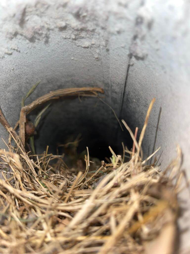 AC vent cleaning Round Rock North Austin TX