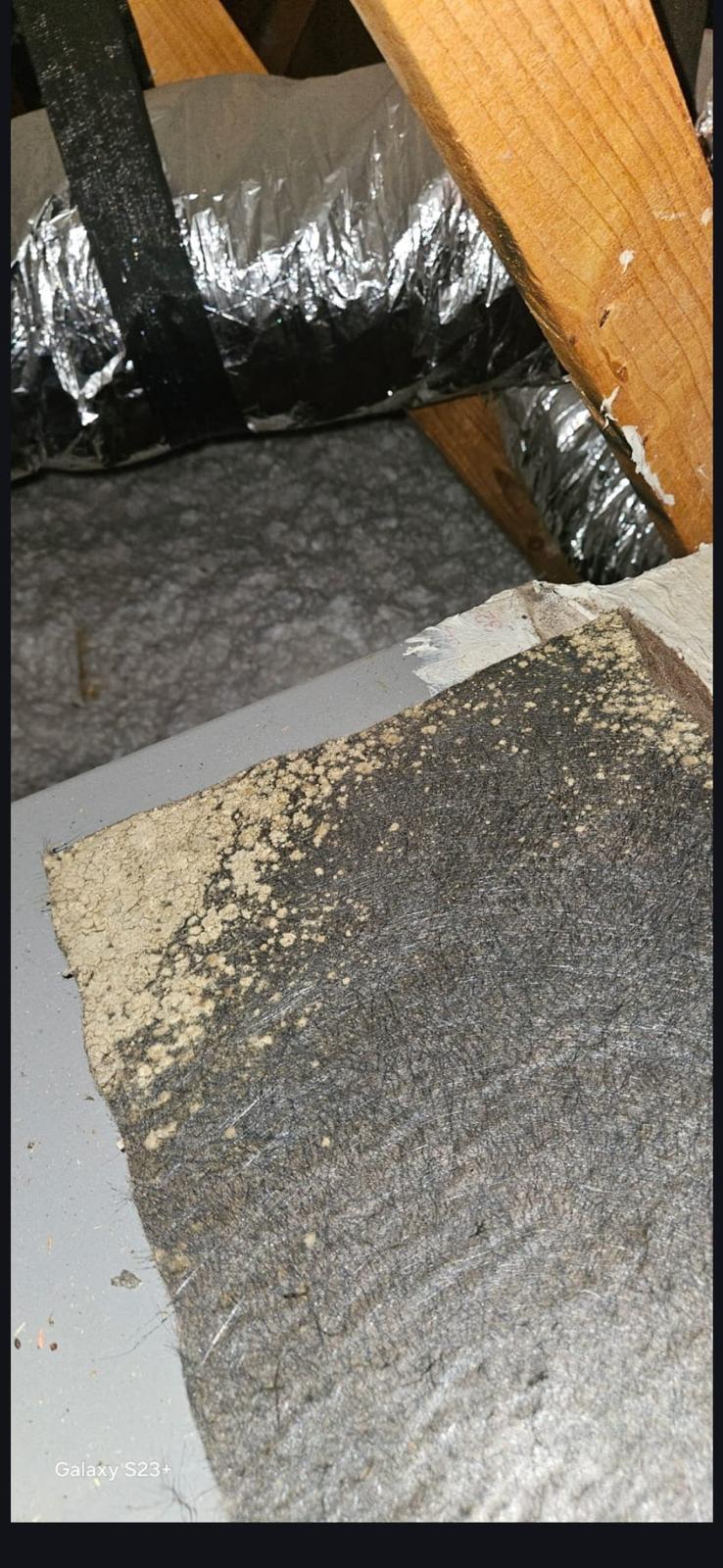 Air duct cleaning Austin - attic mold removal