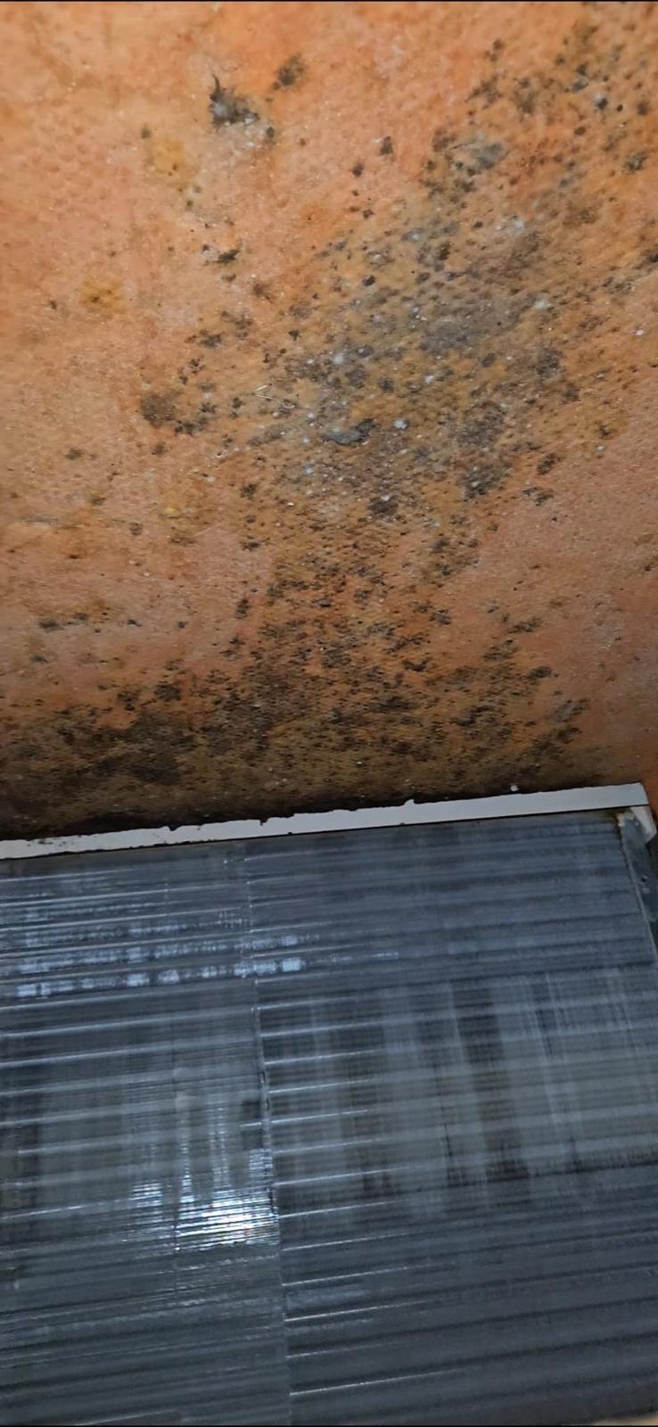 Air duct cleaning Austin - mold on ceiling before treatment